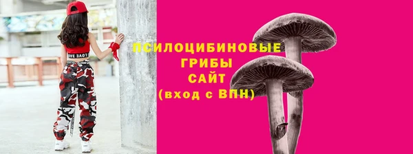 сатива Арсеньев